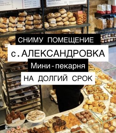 тоголокмолдо васильева продажа домов: Ищу помещение в аренду для мини-пекарни в селе Александровка