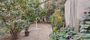 Həyət evləri və villaların satışı: 2 otaqlı, 70 kv. m, Kredit yoxdur, Orta təmir — 15