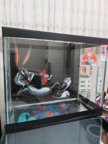Akvariumlar: Məhsul: Dekorativ şüşə akvariumlar (uşaq tematikası) Təsvir: - — 7