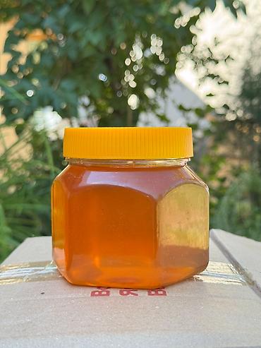 пасечник: 🍯 Натуральный горный мёд из Токтогула — с пасеки, без сиропа — 2