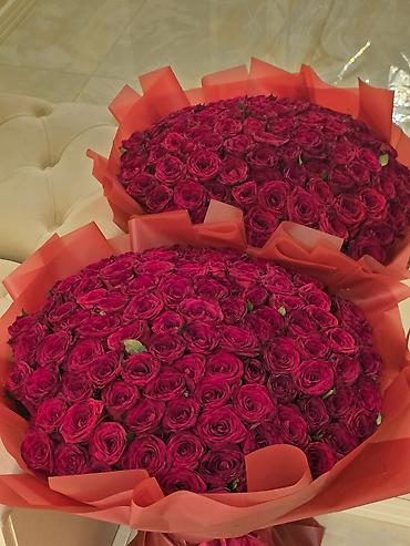guller: Yeni 30 sentyabr buket 101 rosa sevgilivize hediye edin — 1