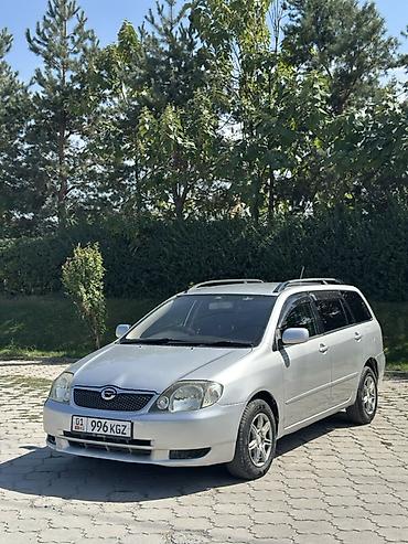 corola: Toyota Corolla: 2002 г., 1.8 л, Автомат, Бензин, Универсал — 1