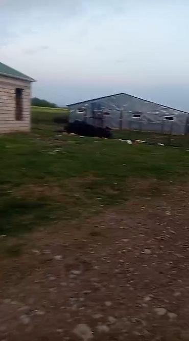 dostluq kinoteatri unvani: Ferma satilir Fuzuli rayonunda. ərazi 3 hektar Nar baǧi movcudur.Su — 8