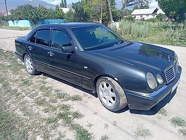 машина bwm: Mercedes-Benz E-Class: 1995 г., 3.2 л, Автомат, Бензин, Седан — 5