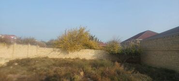 Torpaq sahələrinin satışı: 5 sot, Kupça (Çıxarış) — 1