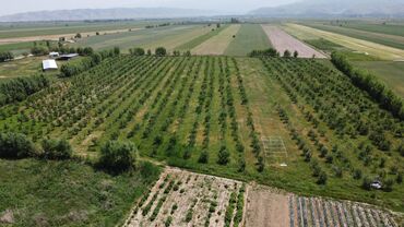 Сельхоз предприятия: 550 соток, Действующий, С оборудованием, Электричество — 7