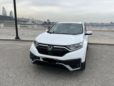honda ölüxanası: Honda CR-V: 1.5 л | 2022 г. Внедорожник