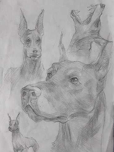 Картины: Педогог художник живописец.Работал в образовательных центрах с детьми — 42