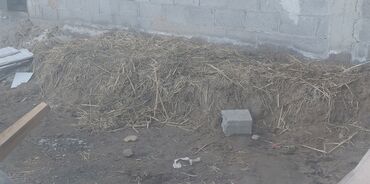 отдам даром обогреватель: Бекер жүктөп кеткиле заливка,кирпичке болот lalafo.kg да отдам даром обогреватель: Бекер жүктөп кеткиле заливка,кирпичке болот