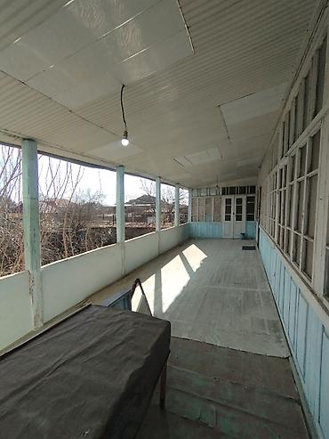 Torpaq sahələrinin satışı: Kənd təsərrüfatı — 17