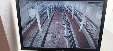 Фото и видеокамеры: Видеокамеры для магазинов и частных домов, а также для других любых — 10