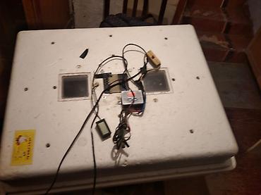 Kənd təssərüfatı avadanlığı: ❇️Inkinator satilir 104 yumurtaliqdi problemi yoxdur satilir 250man — 3