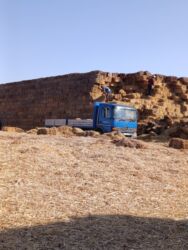 Корма для с/х животных: Арпа Арпа Буудай буудай Саман туктор плотный чоон чоон метровый таза — 4