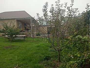 Həyət evləri və villaların satışı: 3 otaqlı, 95 kv. m, Kredit yoxdur, Yeni təmirli — 5