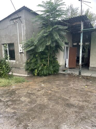 дом в аренду долгосрочно: 3х ком.дом с участком - Одноэтажный дом из кирпича - Двор