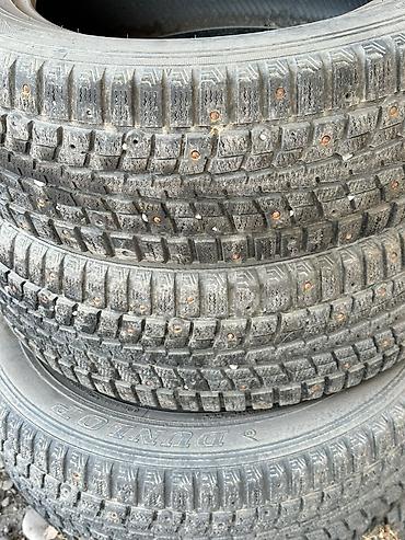stud 100: Шины 215 / 60 / R 16, Зимняя шипованная, Б/у, Комплект, Легковые, Dunlop — 1