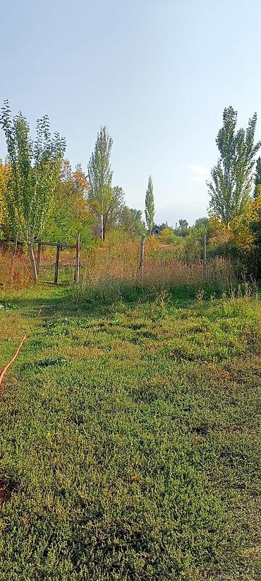 Продажа магазинов: Продаётся дом с действующим магазином.находится в селе вознесеновка,ул — 6