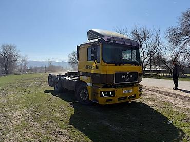 Тягачи: Тягач, MAN, Без прицепа — 2