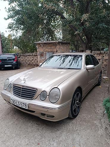 попугайчики купить: Mercedes-Benz E 220: 2.2 л | 2001 г. Седан — 7