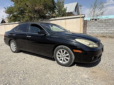 ауди катушка: Toyota Windom: 2005 г., 3 л, Автомат, Бензин, Седан — 2