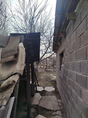 Продажа коттеджей и домов: Продается дом в г. Кара балта 17,5 соток. Мы посадили осенью новый — 11