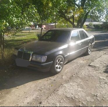 Mercedes-Benz: Mercedes-Benz W124: 1992 г., 2 л, Механика, Бензин, Седан