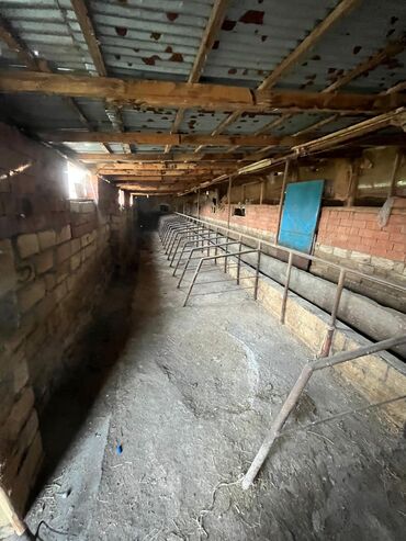 Torpaq sahələrinin satışı: Kənd təsərrüfatı — 8