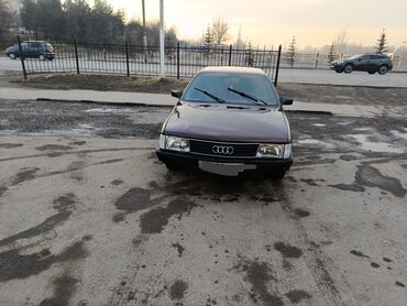 калеса на зил: Audi 100: 1989 г., 2.3 л, Механика, Бензин, Седан