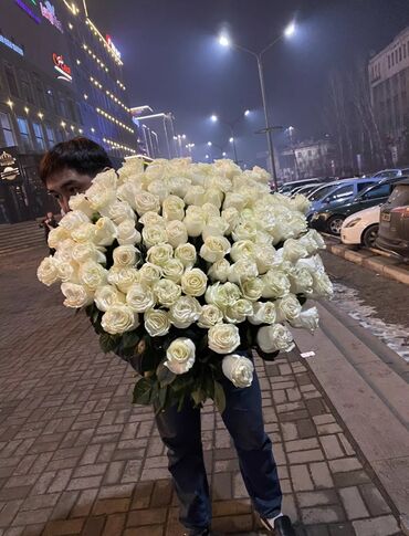 китайская роза: Цветы на 8 марта! 21 роза-1800 90cm 51 роза-3100 90cm 101 роза-5500
