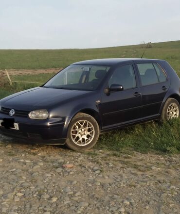 фольксваген beetle: Volkswagen Golf: 2002 г., 1.6 л, Автомат, Бензин, Хэтчбэк