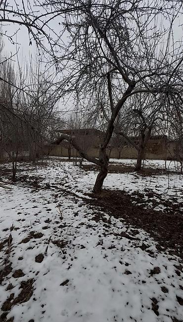 Продажа коттеджей и домов: Окуу жана окуу ❗ жакшы бада жер үй сатылат адрес Жалал-Абад шаарында — 7