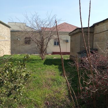 Torpaq sahələrinin satışı: 16 sot, Tikinti, Mülkiyyətçi, Kupça (Çıxarış) — 5