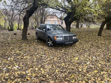 Mercedes-Benz: Mercedes-Benz W124: 1987 г., 2.3 л, Механика, Бензин