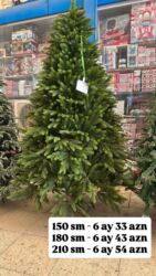 Süni güllər: Yeni il yolkası, bəzək üçün uyğundur. Keyfiyyətli, sıx budaqlı və