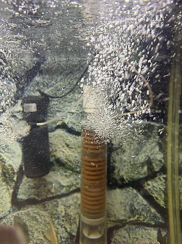 Akvariumlar: Продается аквариум 2 м с рыбами все вместе рыбы декор и — 10