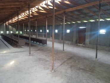 Torpaq sahələrinin satışı: 40 sot, Kənd təsərrüfatı, Mülkiyyətçi, Kupça (Çıxarış) — 5