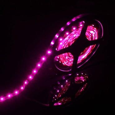 Rasveta: PINK USB LED TRAKE 5V 60 DIODA/M | *AKO IMATE POSEBNU ŽELJU OKO — 2