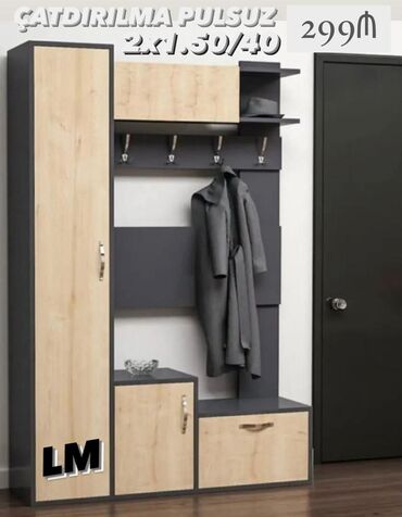 divar şkafları: Açılan, 2 qapılı Düz dolab, Dəhliz dolabı