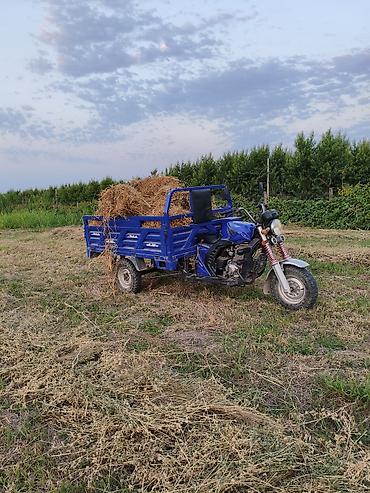 Yükdaşıma üçtəkərli motosiklet (trisikl) – mavi rəng .Quba isnovqışlaq at lalafo.az — 1 Yükdaşıma üçtəkərli motosiklet (trisikl) – mavi rəng .Quba isnovqışlaq — 1