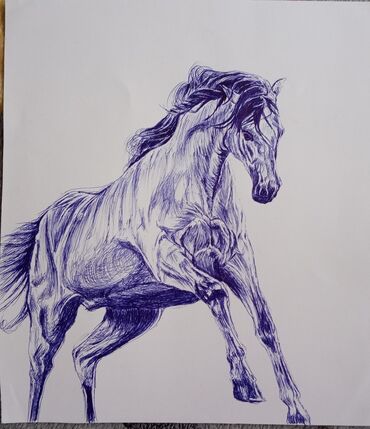 Ostali predmeti za umetnost i kolekcionarstvo: Prodaja crteza,svih dvanaest komada po navedenoj ceni. Angelina samo — 5