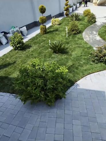 Landşaft işləri: Landşaft dizaynı və qazon salınması xidməti - Həyətyanı sahələrin tam — 1