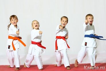 спортивный пояс: Кимоно для каратэ, пояс, жилет, перчатки wkf, защита голень-стопа