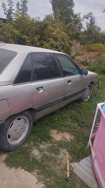 цветные лампы: Audi 100: 1989 г., 2.3 л, Механика, Бензин, Седан — 4