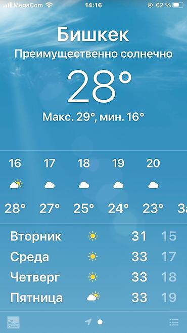 летник: Дезинфекция, дезинсекция, | Клопы, Блохи, Тараканы, | Офисы, Квартиры, Дома — 5