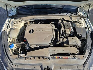 Kia: Kia K5: 2020 г., 2 л, Газ — 19