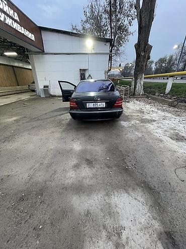 Mercedes-Benz: Mercedes-Benz 220: 1999 г., 4.3 л, Автомат, Газ — 8