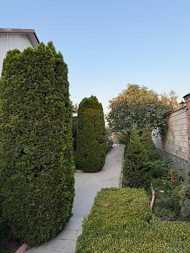 Долгосрочная аренда домов: 160 м², 5 комнат, Кондиционер, Бронированные двери, Утепленный — 8