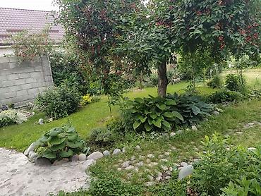 3: ✨🏡 Продается участок с небольшим домом в Бишкеке (жилмассив Маевка) — 3