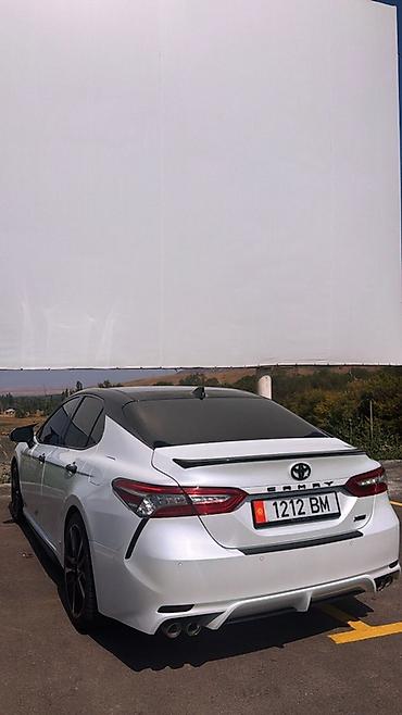 краска авто: Toyota Camry: 2019 г., 2.5 л, Автомат, Бензин, Седан — 1