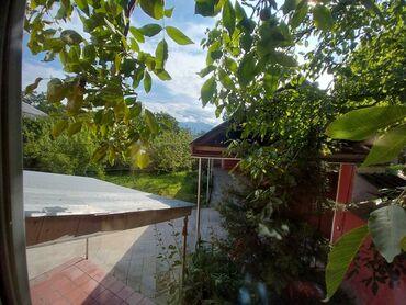 Bağ evlərinin kirayəsi: 220 kv. m, 8 otaq, Hovuzsuz, Artezian quyusu, Su, Telefon — 14